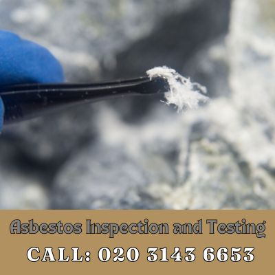 Comprehensive Asbestos Inspection and Testing Services in Nascot Wood